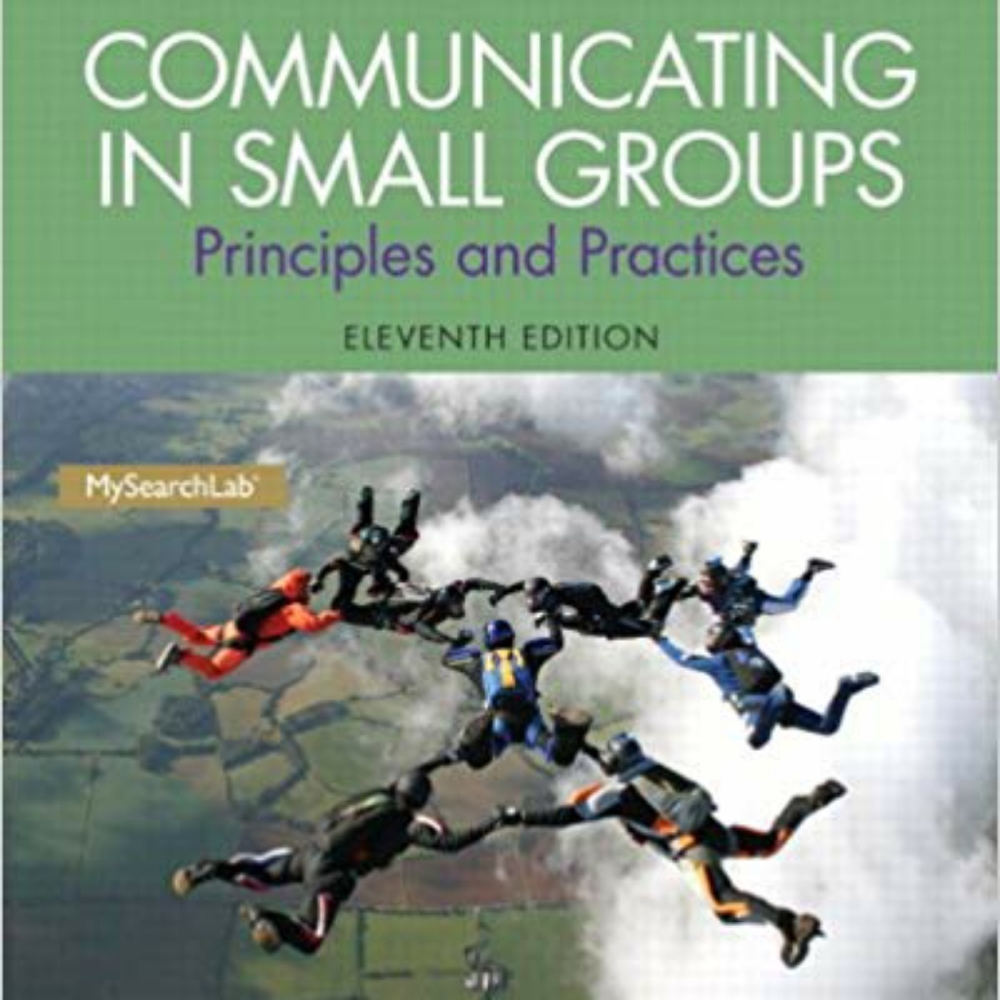 Communications Studies PDF textbook